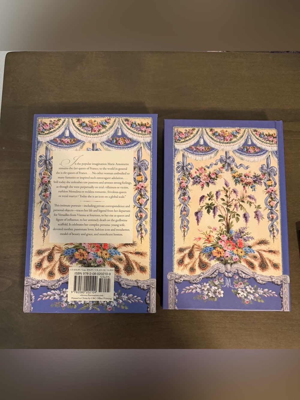 A Day with Marie Antoinette: An Intimate Portrait of Her Life at Versailles Book